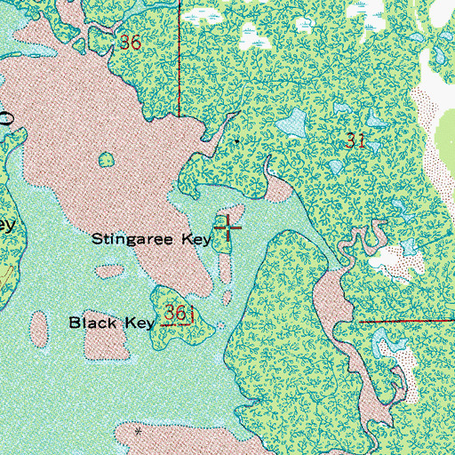 Topographic Map of Stingaree Key, FL