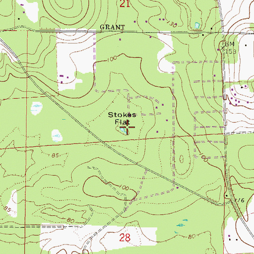 Topographic Map of Stokes Flat, FL