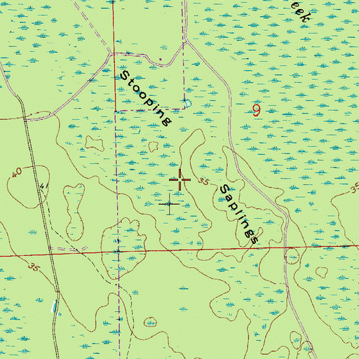 Topographic Map of Stooping Saplings, FL
