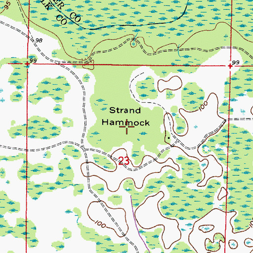 Topographic Map of Strand Hammock, FL