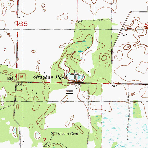 Topographic Map of Strayhan Pond, FL