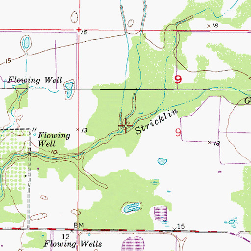 Topographic Map of Stricklin Gully, FL
