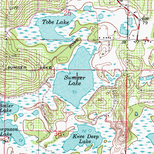 Topographic Map of Sumner Lake, FL