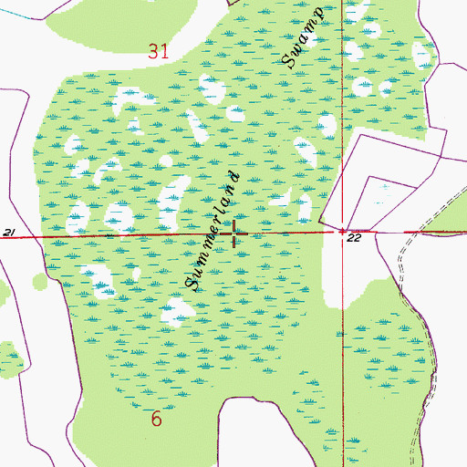 Topographic Map of Summerland Swamp, FL