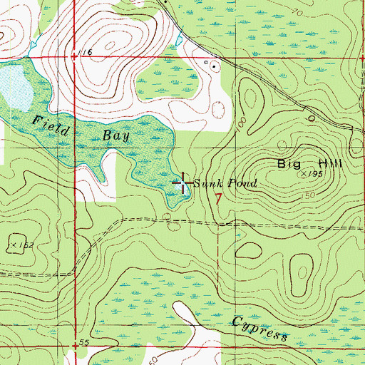 Topographic Map of Sunk Pond, FL