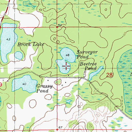 Topographic Map of Surveyor Pond, FL