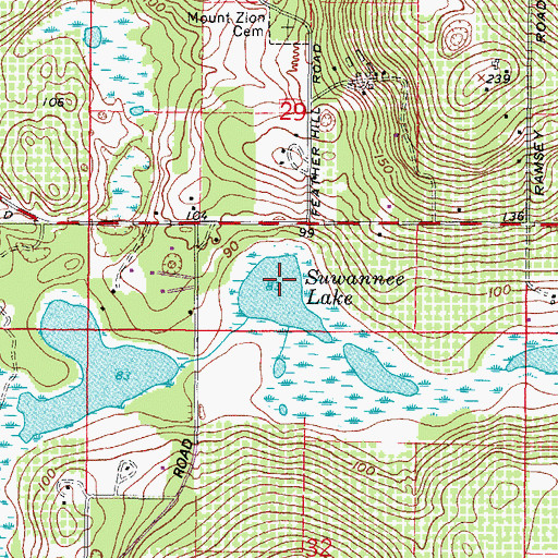 Topographic Map of Suwannee Lake, FL