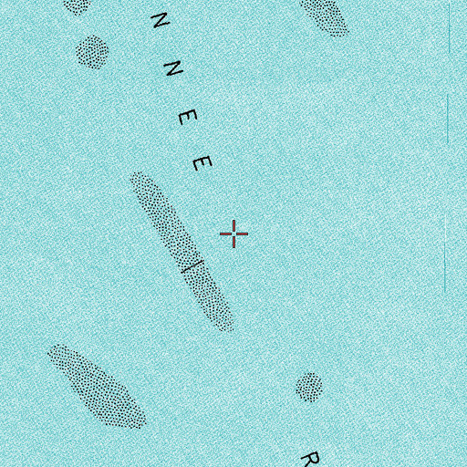 Topographic Map of Suwannee Reef, FL