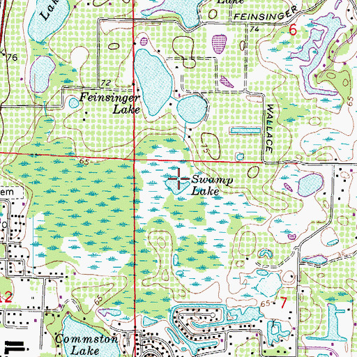Topographic Map of Swamp Lake, FL