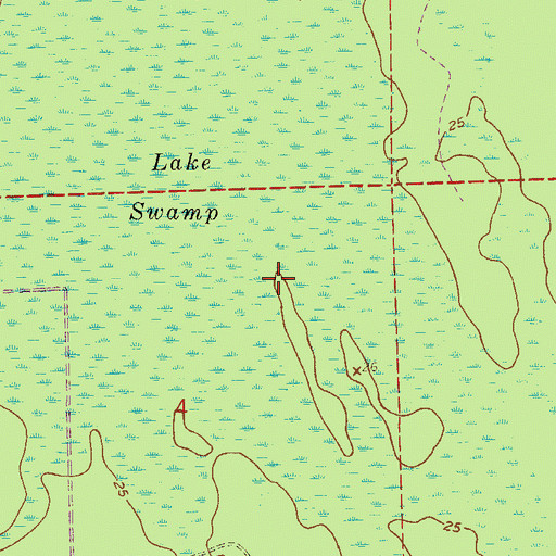 Topographic Map of Lake Swamp, FL