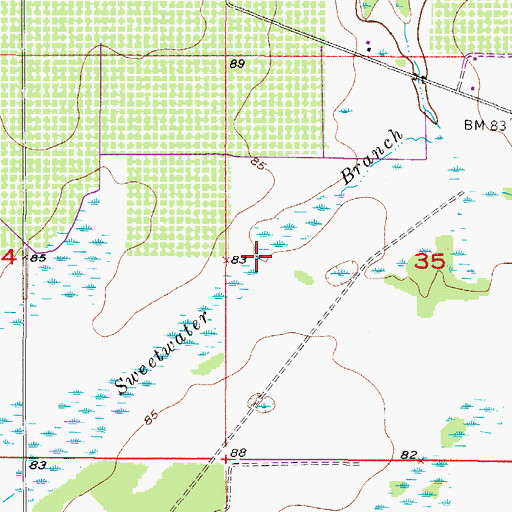 Topographic Map of Sweetwater Branch, FL