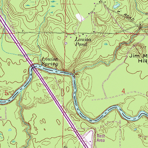 Topographic Map of Swift Creek, FL