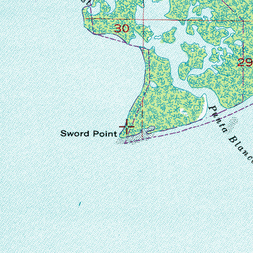 Topographic Map of Sword Point, FL