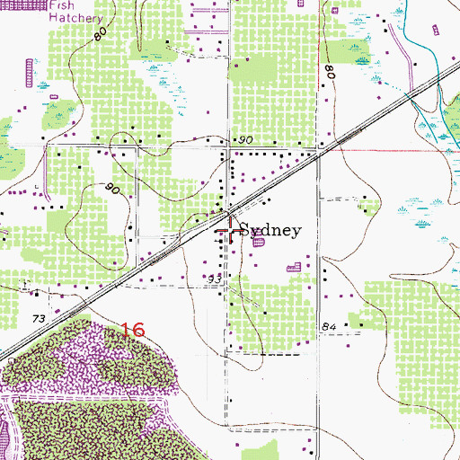 Topographic Map of Sydney, FL