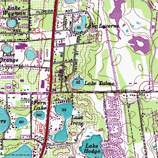 Topographic Map of Lake Talmo, FL
