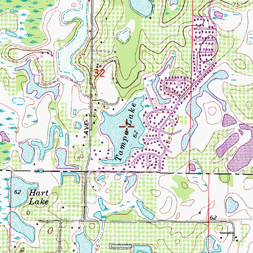 Topographic Map of Tampa Lake, FL
