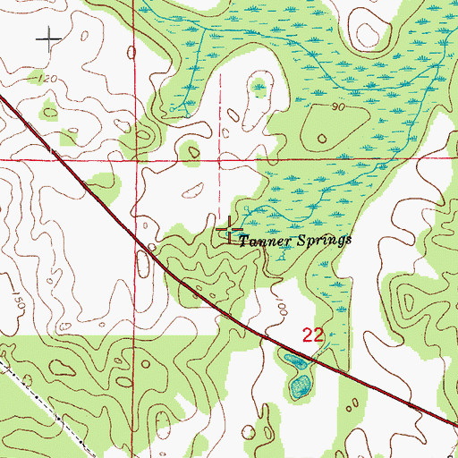 Topographic Map of Tanner Springs, FL