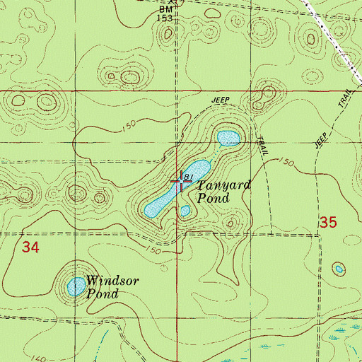 Topographic Map of Tanyard Pond, FL