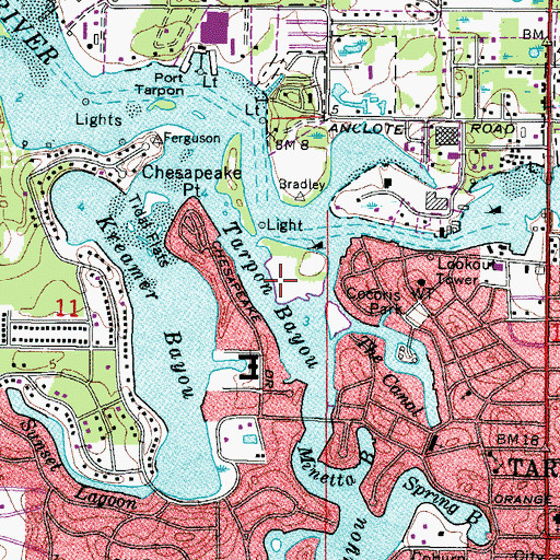 Topographic Map of Tarpon Bayou, FL