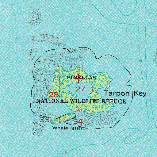 Topographic Map of Tarpon Key, FL