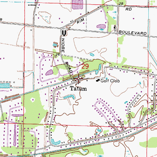 Topographic Map of Tatum, FL