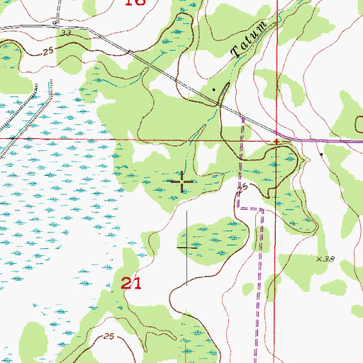 Topographic Map of Tatum Gully, FL