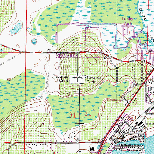 Topographic Map of Tavares Cemetery, FL