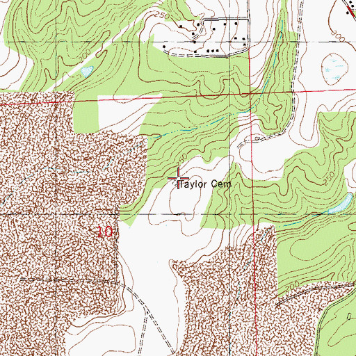 Topographic Map of Taylor Cemetery, FL
