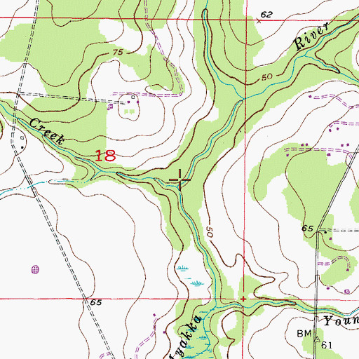 Topographic Map of Taylor Creek, FL