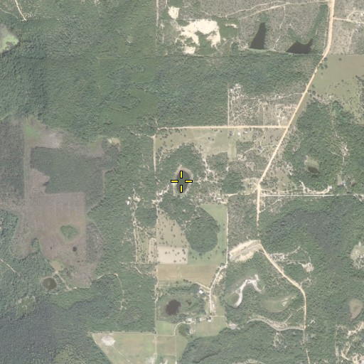 Aerial/Satellite Image of Tea Pond, FL