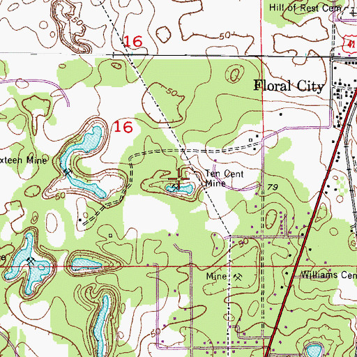 Topographic Map of Ten Cent Mine, FL