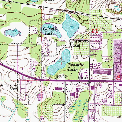 Topographic Map of Tenmile Lake, FL