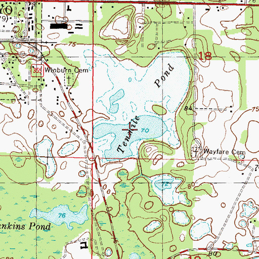 Topographic Map of Tenmile Pond, FL
