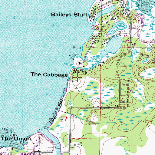 Topographic Map of The Cabbage, FL
