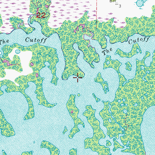 Topographic Map of The Cutoff, FL