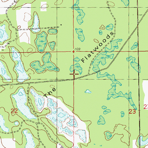 Topographic Map of The Flatwoods, FL