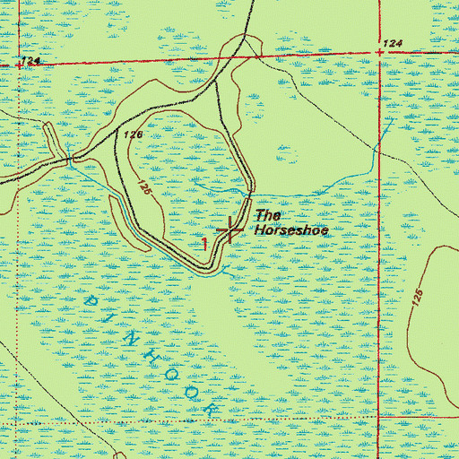 Topographic Map of The Horseshoe, FL