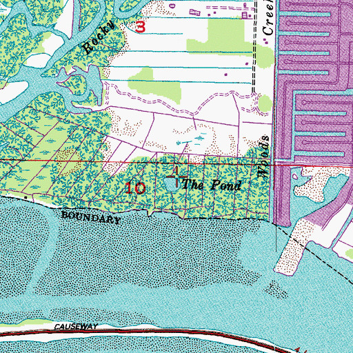 Topographic Map of The Pond, FL