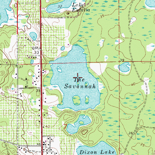 Topographic Map of The Savannah, FL