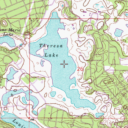 Topographic Map of Theresa Lake, FL