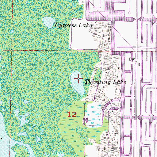 Topographic Map of Thirsting Lake, FL