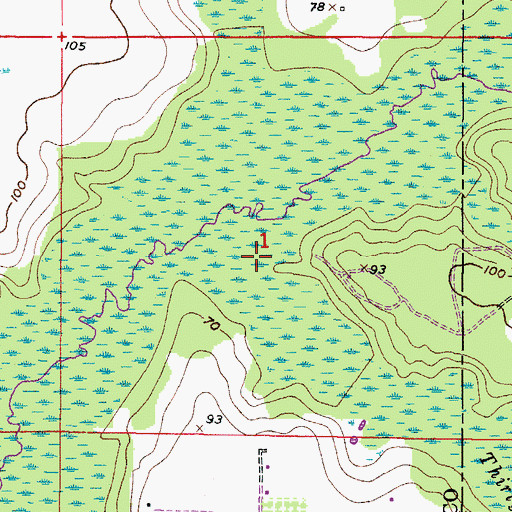 Topographic Map of Thirtymile Creek, FL