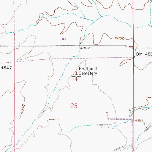 Topographic Map of Fruitland Cemetery, AZ