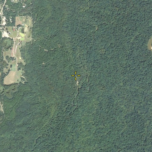 Aerial/Satellite Image of Thomas Field, FL