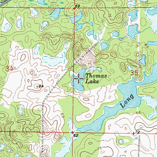 Topographic Map of Thomas Lake, FL