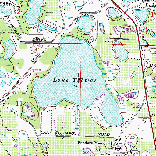 Topographic Map of Lake Thomas, FL