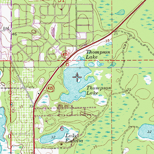 Topographic Map of Thompson Lake, FL