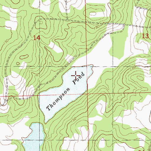 Topographic Map of Thompson Pond, FL