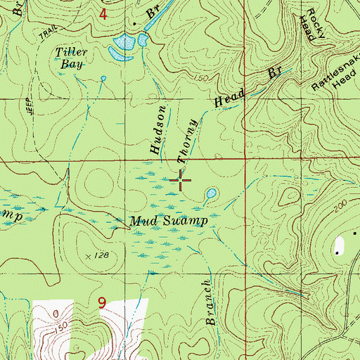 Topographic Map of Thorny Head Branch, FL
