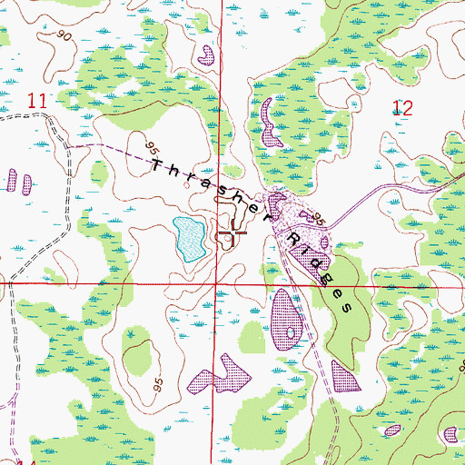 Topographic Map of Thrasher Ridges, FL